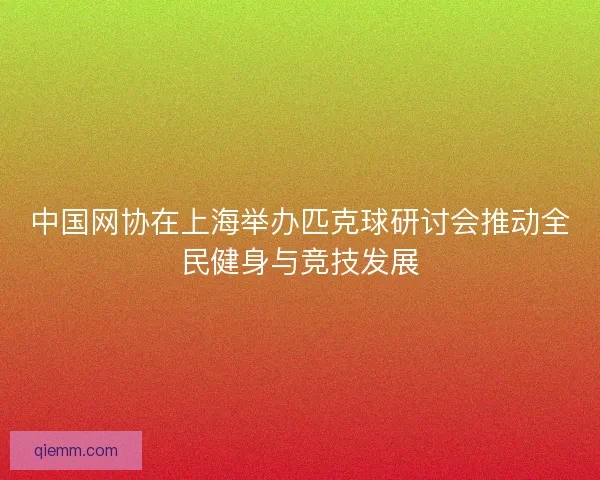 中国网协在上海举办匹克球研讨会推动全民健身与竞技发展